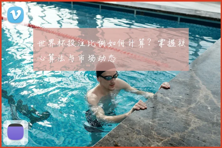 世界杯投注比例如何计算？掌握核心算法与市场动态