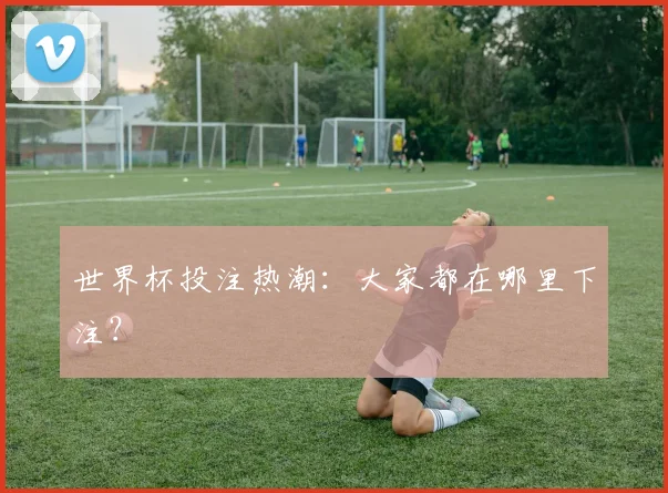 世界杯投注热潮:大家都在哪里下注?