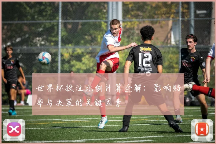 世界杯投注比例计算全解：影响赔率与决策的关键因素
