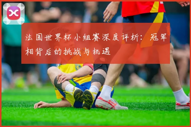 法国世界杯小组赛深度评析：冠军相背后的挑战与机遇