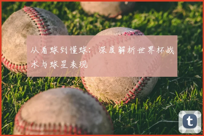 从看球到懂球：深度解析世界杯战术与球星表现