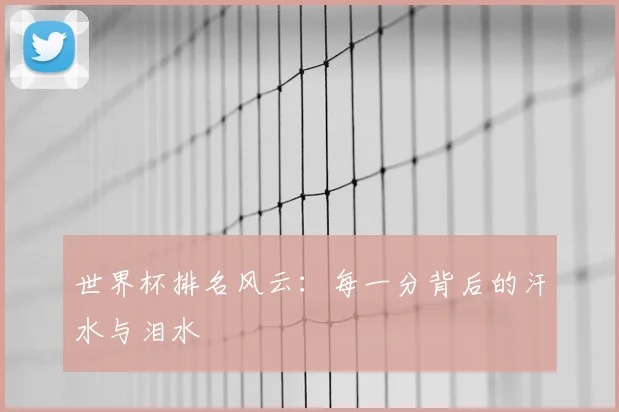 世界杯排名风云：每一分背后的汗水与泪水