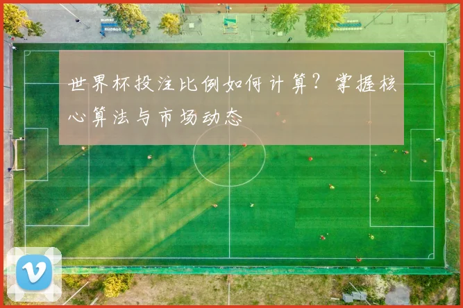 世界杯投注比例如何计算？掌握核心算法与市场动态