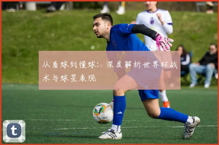 从看球到懂球：深度解析世界杯战术与球星表现