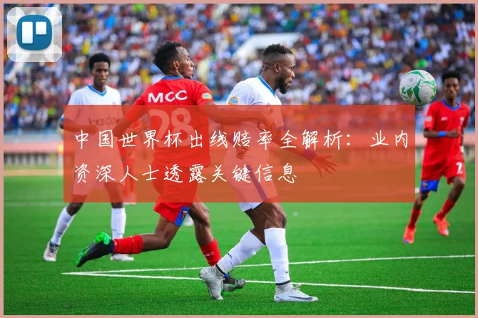 中国世界杯出线赔率全解析：业内资深人士透露关键信息