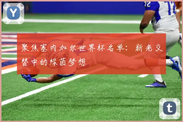 聚焦塞内加尔世界杯名单：新老交替中的绿茵梦想