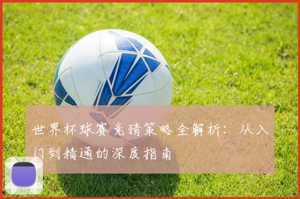 世界杯球赛竞猜策略全解析：从入门到精通的深度指南