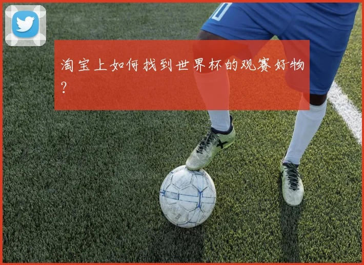 淘宝上如何找到世界杯的观赛好物？